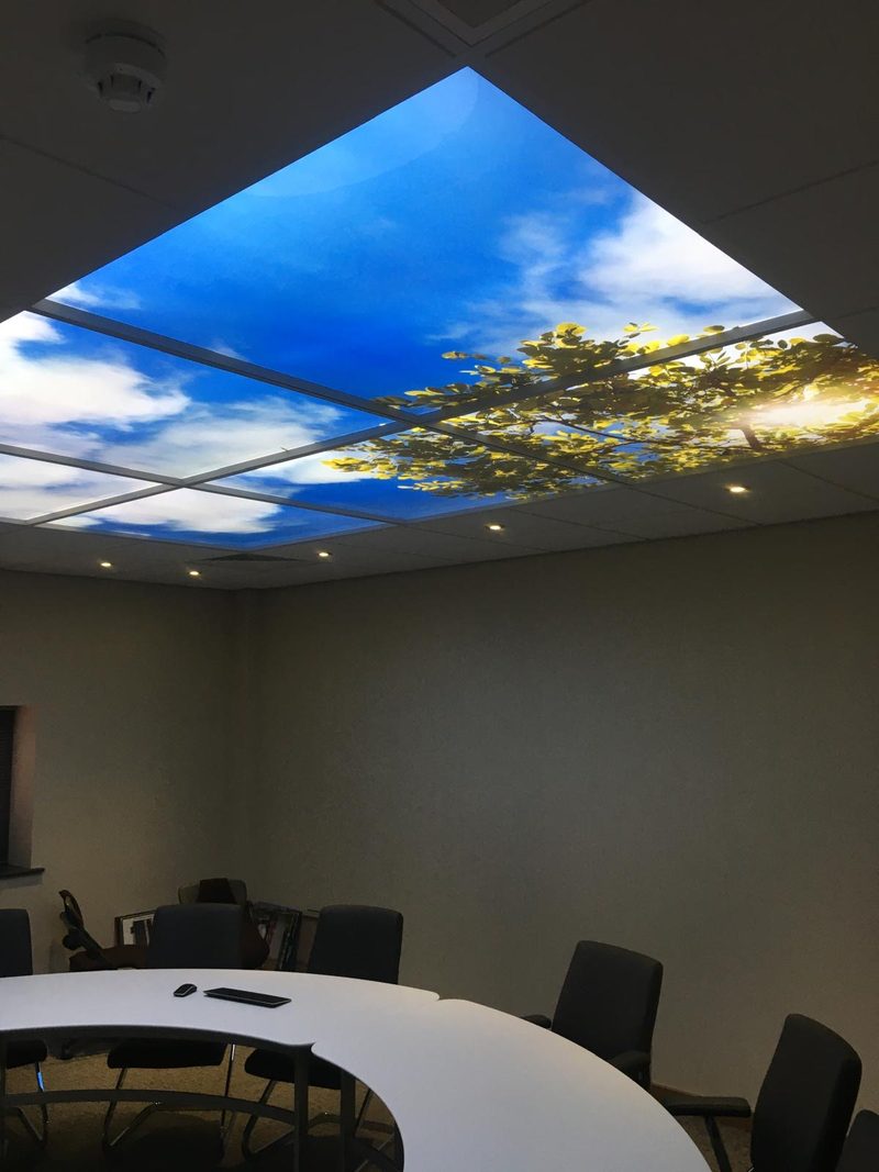 Feature ceiling lighting, meeting room, Electrical