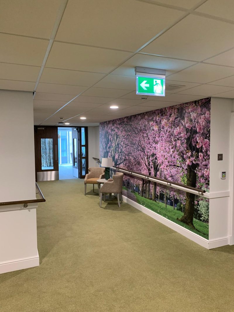 Corridor emergency lighting, Electrical